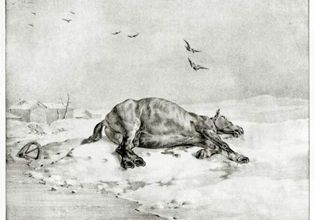 Géricault Cheval mort