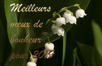 1er mai 2019