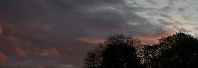 à   toutes   et    tous,   une    bonne    fin  de    semaine