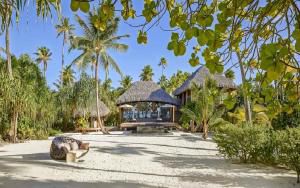Escape deserted island soluce