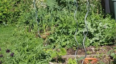 Le potager, c'est parti !