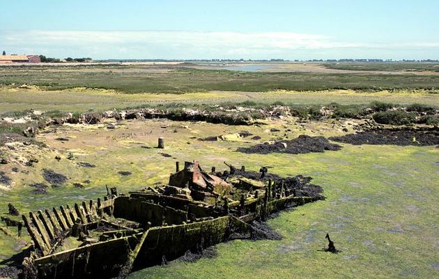 Marée basse aux Portes-en-Ré - Ile de Ré - 17