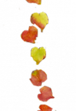Chronique des jours d'automne - chronicle of the autumnal days