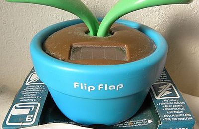 Découvrez ma "flip flap"...