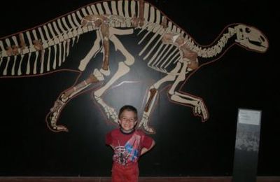 Visite du musée des Dinosaures, mai 2009, à Espéraza. (Albert Fagioli)