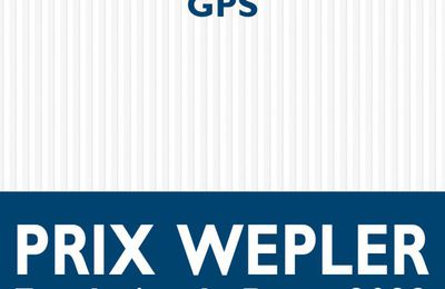 EB - Un roman déroutant : "GPS" de Julie Rico...