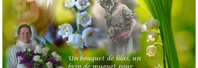 Du bonheur pour tous