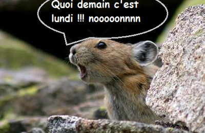 Quand u réalises que c'est bientôt la fin...