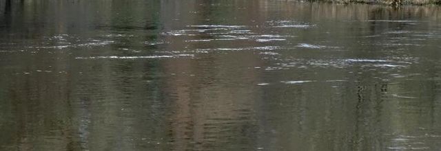Sur le halage le long du Blavet (2)