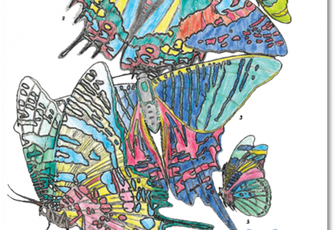 Biodiversity Heritage Library