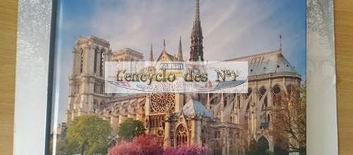 N° 1 Cathédrales d' Europe - Test