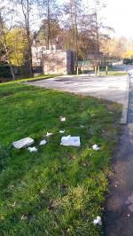 Halte aux poubelles sauvages !