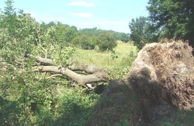 La tempête du 2 Juillet...