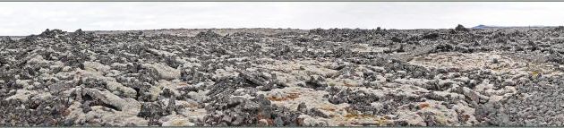 07/06/2023 : nous nous dirigeons vers le Blue Lagoon tout en faisant de la géologie, de la botanique ou de l'ornithologie lorsque l'occasion se présente - Péninsule de Reykjanes - Islande