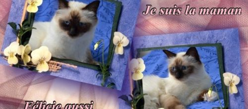 Les grands s'occupent des plus petits...