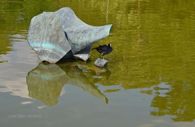 La photo du weekend : Pour vivre heureux, vivons caché !