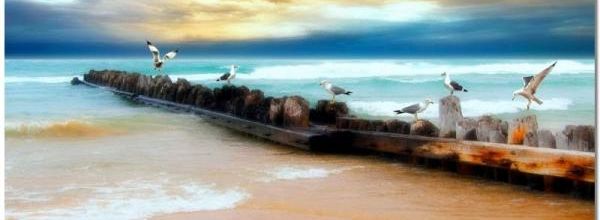 La pensée du jour (89)