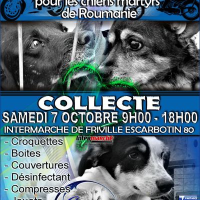 collecte 07 10 2017 
