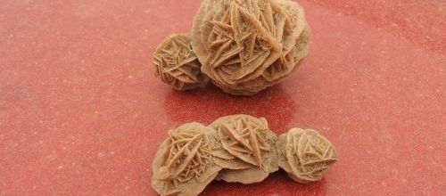 ... mes roses des sables... jolies, non ?