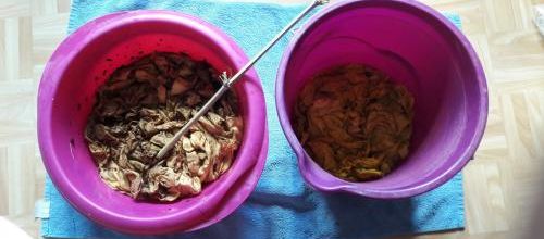 Tambouille pour teintures naturelles