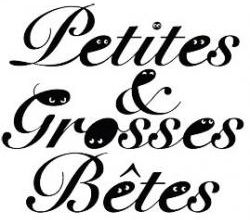 Organigramme du projet PETITES ET GROSSES BETES