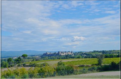 Cité de Carcassonne