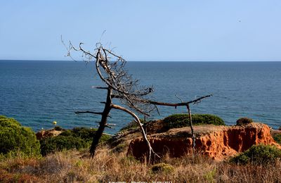 Falaises colorées d'Albufeira - Portugal (3)