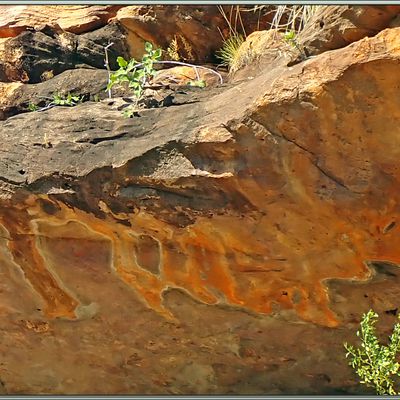 Nous grimpons par un sentier assez difficile (rochers et pierres) vers les sites de peintures rupestres - Swift Bay - Wunambal Gaambera - Mitchell Plateau - Kimberley - Australie