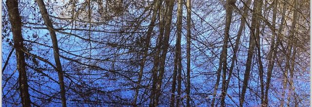 Balade / Mercredi 17 Janvier 2018