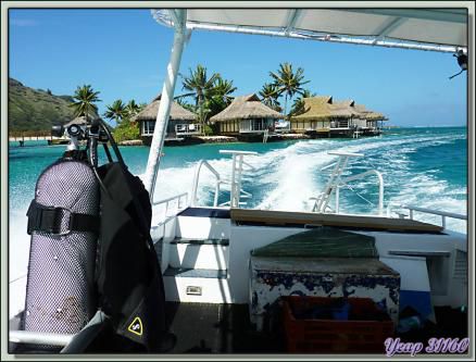 Mon coup de gueule : hôtel InterContinental Resort & Spa Moorea et ses dauphins captifs - Polynésie française