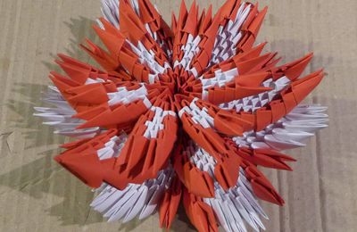 Fleurs de lotus en origami modulaire...