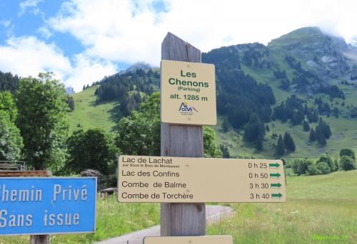 les fleurs sauvages près de la Clusaz -1