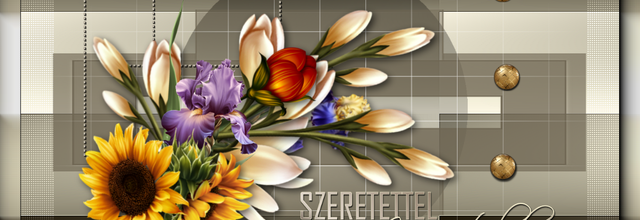 B.ICA BLOGJA   -   SZERKESZTETT KÉPEIM