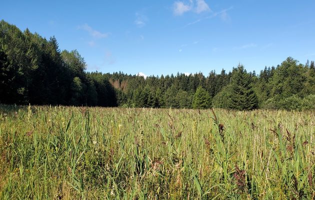 Le 5 août 2023 : Quoi de neuf à la Praille ?