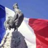 Bon Dimanche ! Le Coq Français .....  2019
