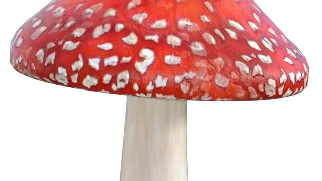 Image de champignon (tube-render-png)