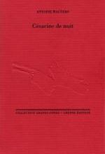 Antoine WAUTERS – Césarine de nuit. 
