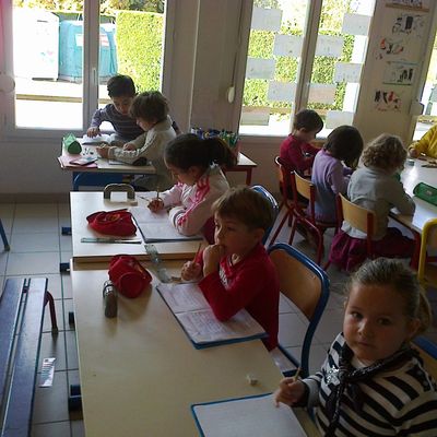 GS-CE1 : Organisation générale