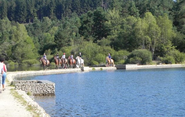 Ballade à cheval au lac de Vassivière