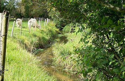 Gambais dans les Yvelines (4ème partie)