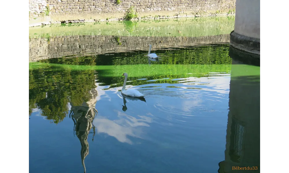 Défi reflets N°2 / 2025