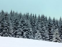 Le Plateau du Retord #1