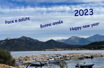 Pace e salute - Bonne année - Happy new year 2023