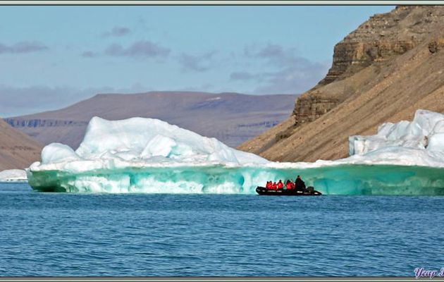 Retour vers l'Austral en passant à côté de très beaux "glaçons" -  Croker Bay - Devon Island - Nunavut - Canada