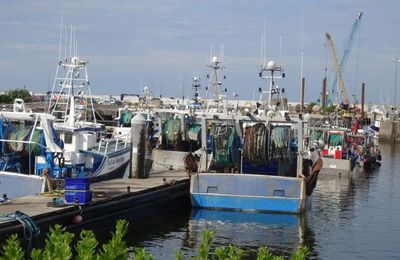 Le nouveau port de La Turballe