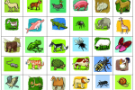 FLS: Le lexique des animaux