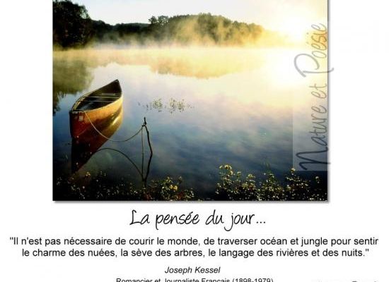 Citations en images : Le monde