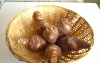 Chips de topinambours*