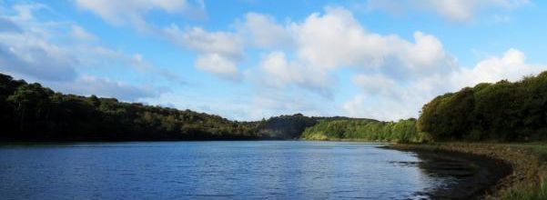 Il était un matin, il était une rivière