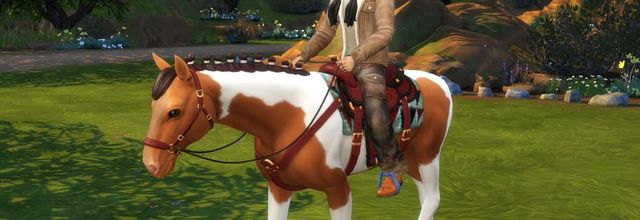 [Vie au ranch] Célian apprend à faire du cheval #3